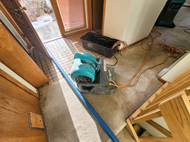 Best Commercial water damage restoration  in Bennettsville, SC