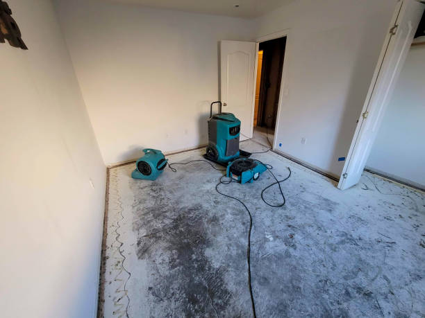 Best Professional water damage repair  in Bennettsville, SC