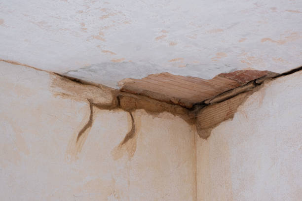 Best Water damage cleanup near me  in Bennettsville, SC