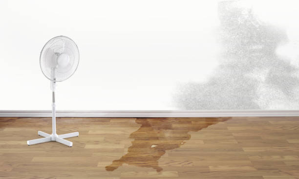 Best Flood restoration services  in Bennettsville, SC