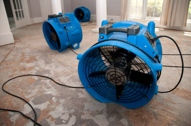 Best Carpet water damage restoration  in Bennettsville, SC